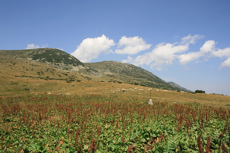 Bulgaria 2008 404